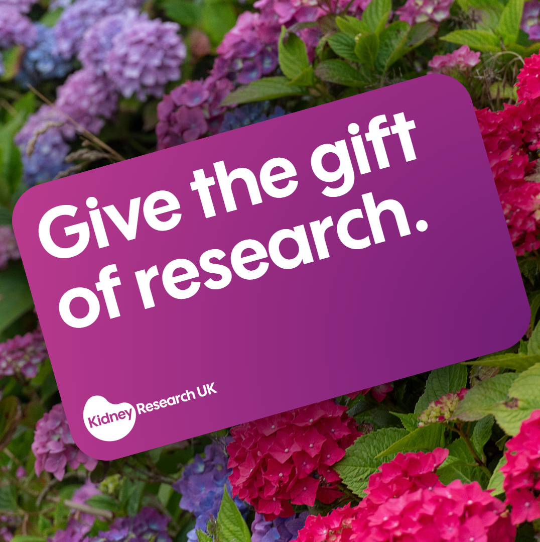Give the gift of research