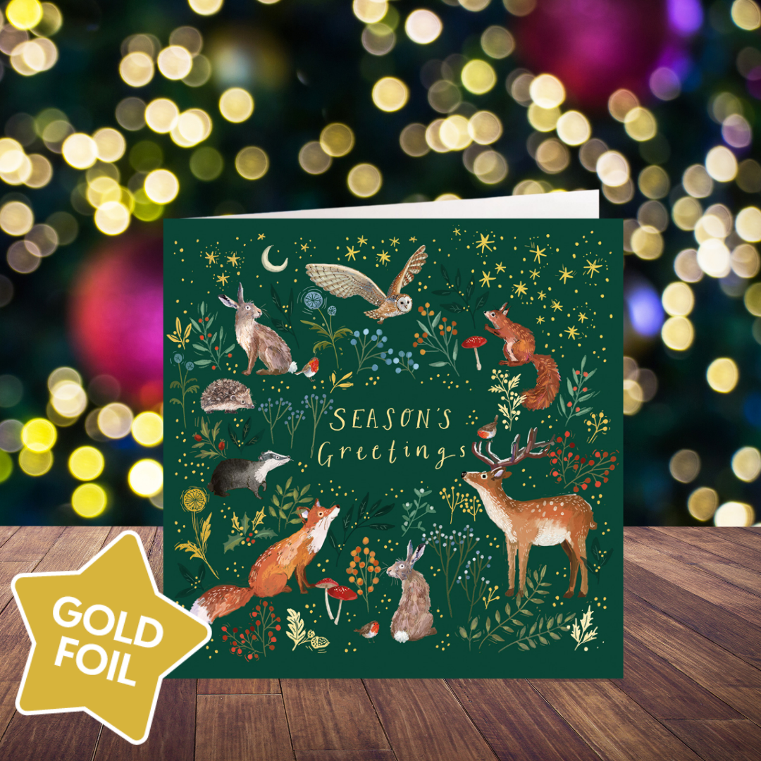 Enchanted Christmas card pack