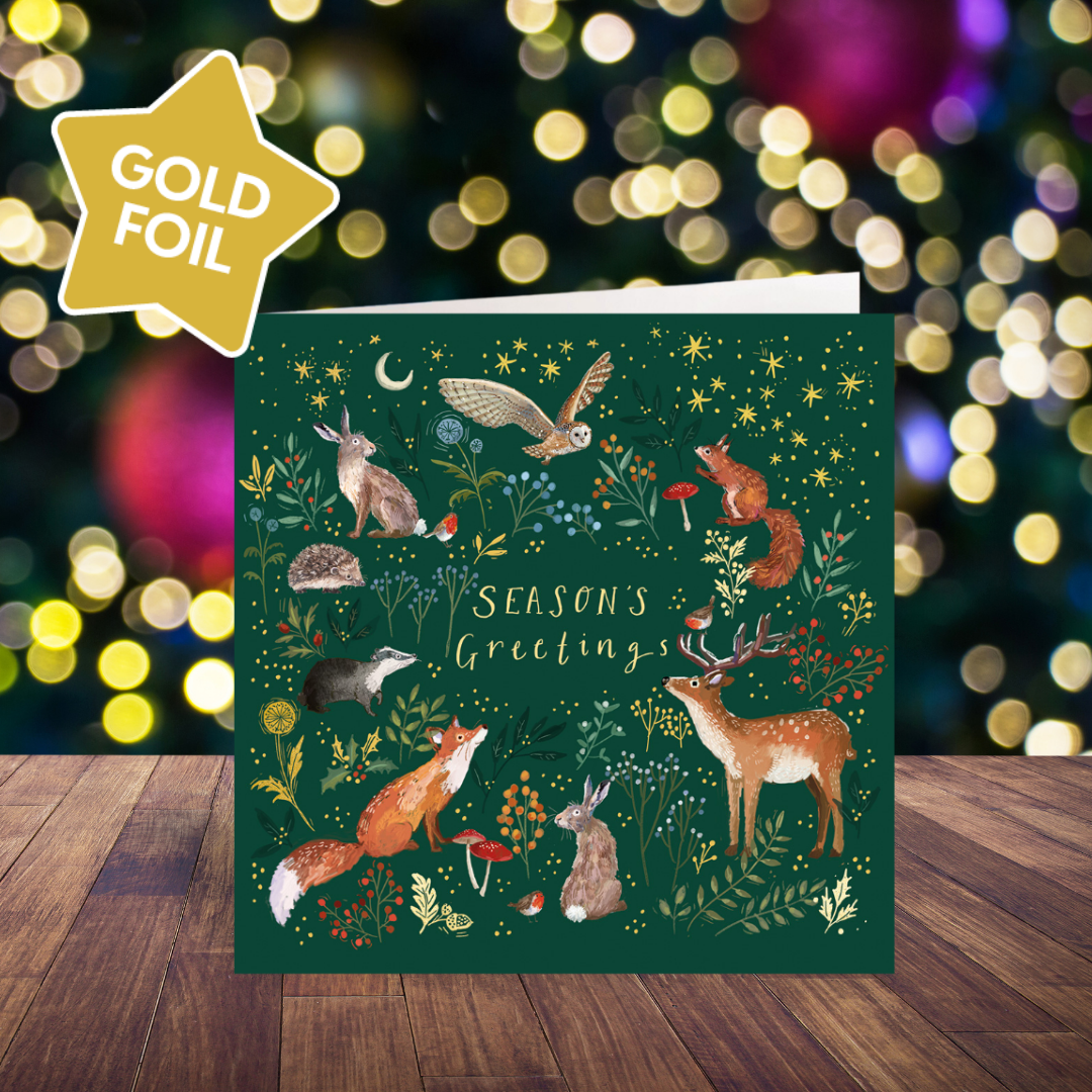 Enchanted Christmas card pack