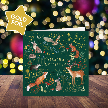 Enchanted Christmas card pack