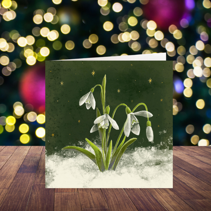 Snowdrops card pack