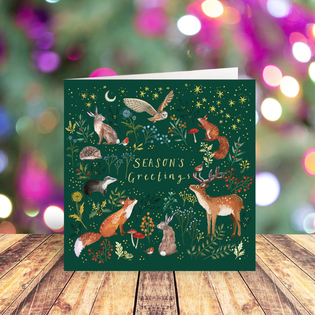 Enchanted Christmas card pack