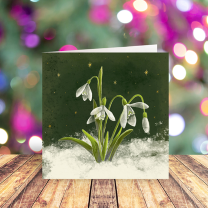 Snowdrops card pack