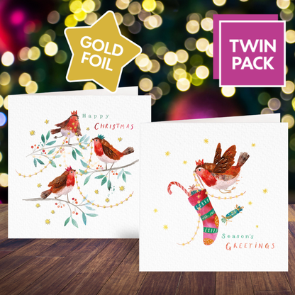 Robin Friends card twin pack