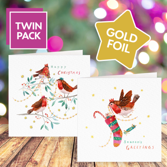 Robin Friends card twin pack