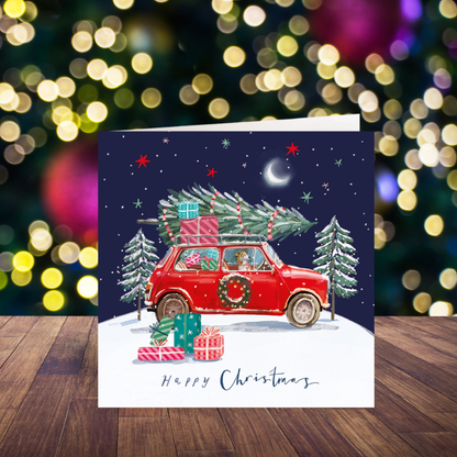Delivering Christmas card pack