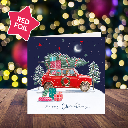 Delivering Christmas card pack