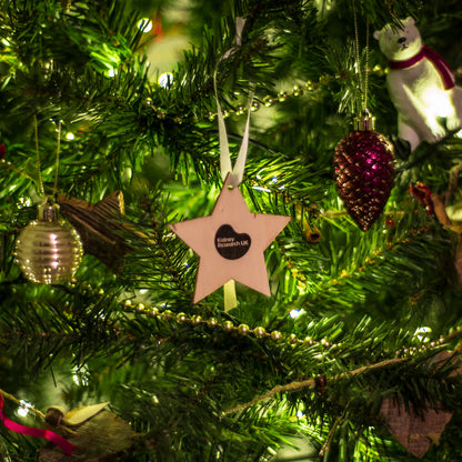 Christmas Star Decoration