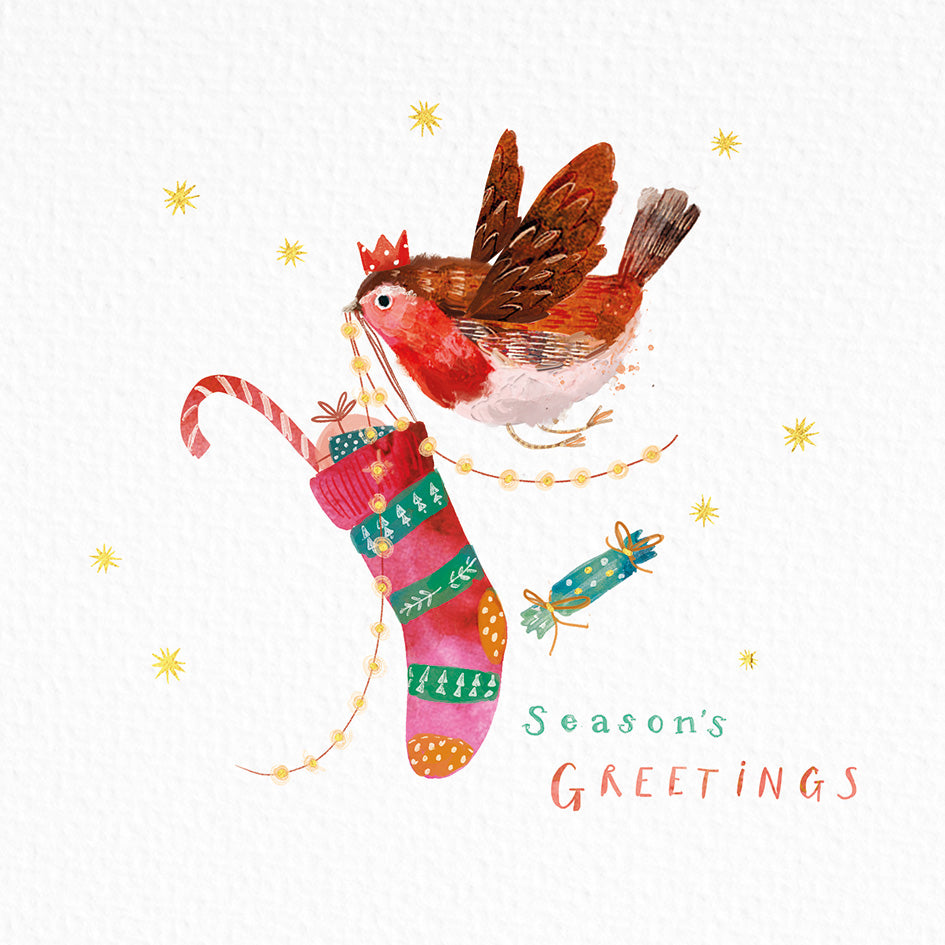 Robin Friends card twin pack