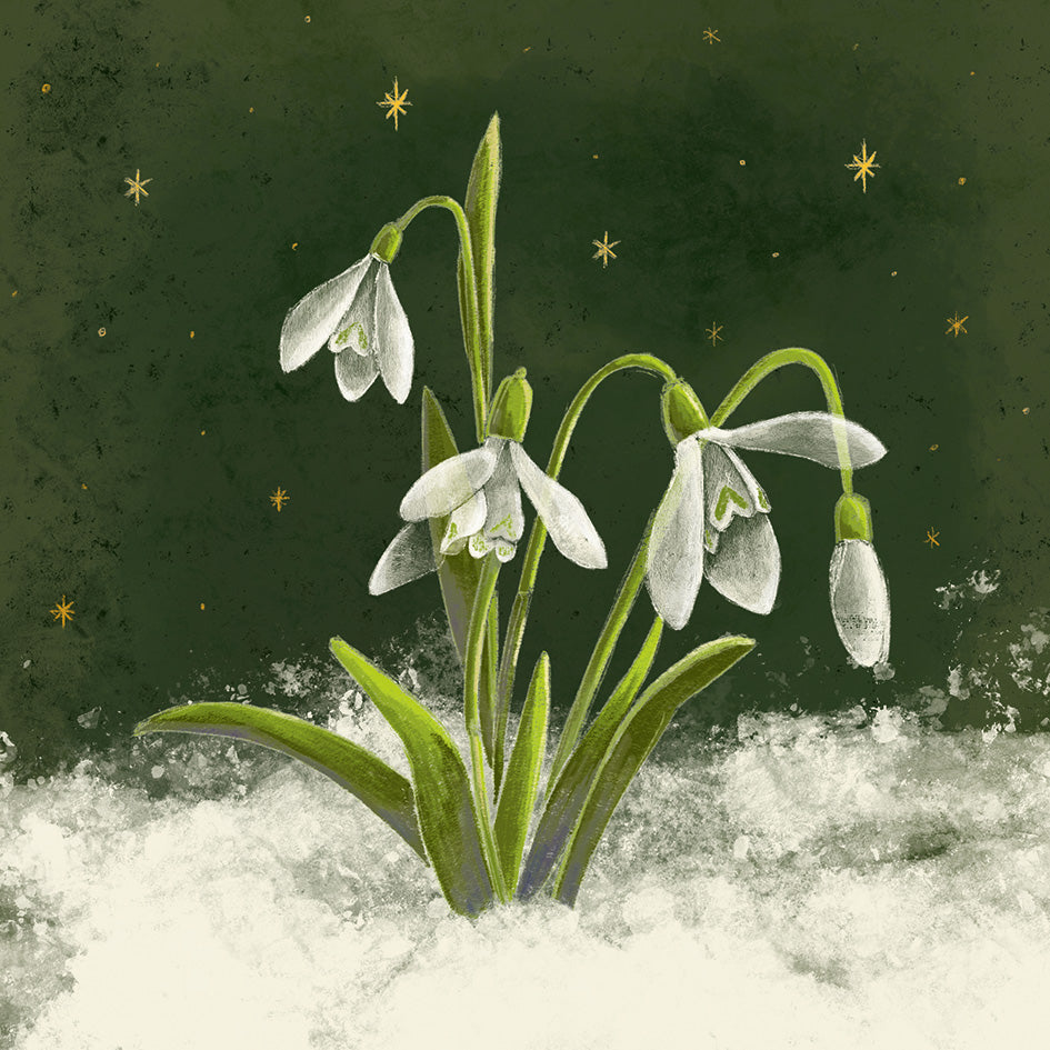 Snowdrops card pack